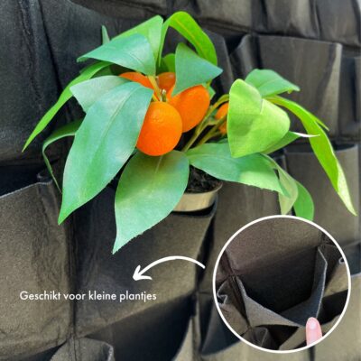 QUVIO Verticale tuin met 56 vakjes voor aan de muur – 100 x 100 cm