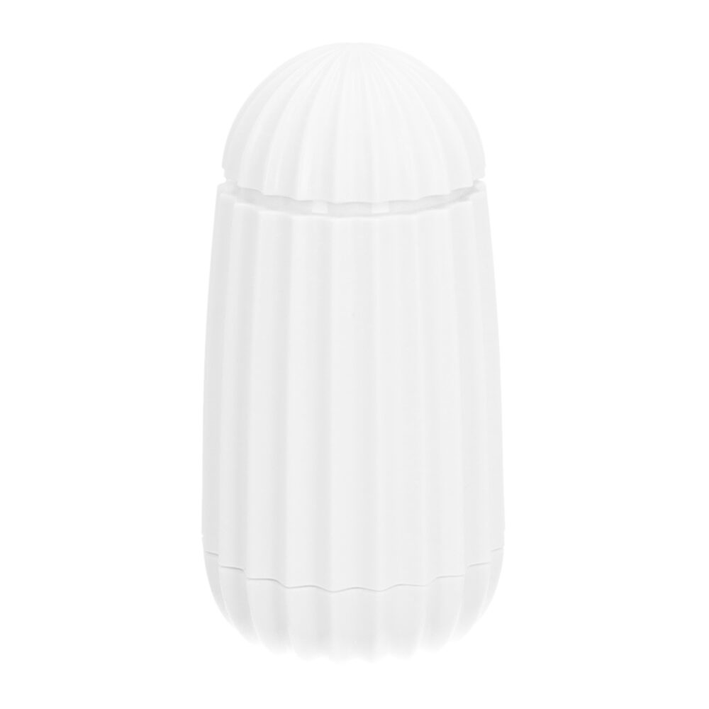Draagbare Tandenstokerhouder Met Deksel - Compacte Organizer Voor Tandenstokers En Kleine Spullen