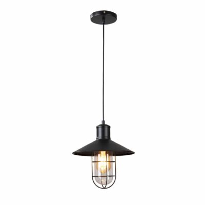 Zwart hanglamp glas draadstaal