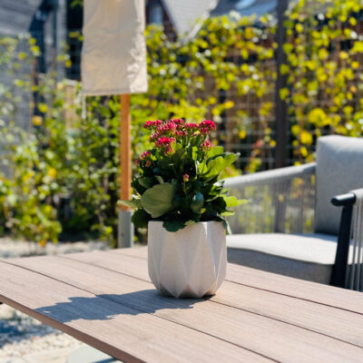 QUVIO Bloempot cement – 15 x 15 x 14 cm – Beige