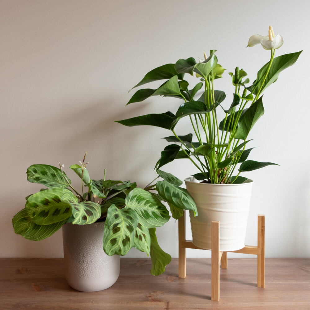 QUVIO Bloempot standaard – Bamboe – Binnenmaat 16 cm