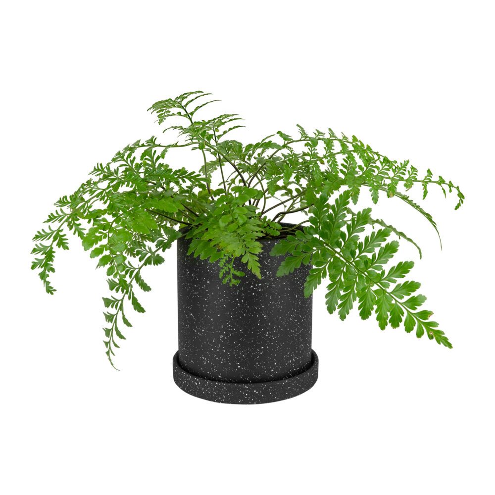 Zwarte bloempot van keramiek