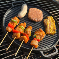 barbecue grillplaat