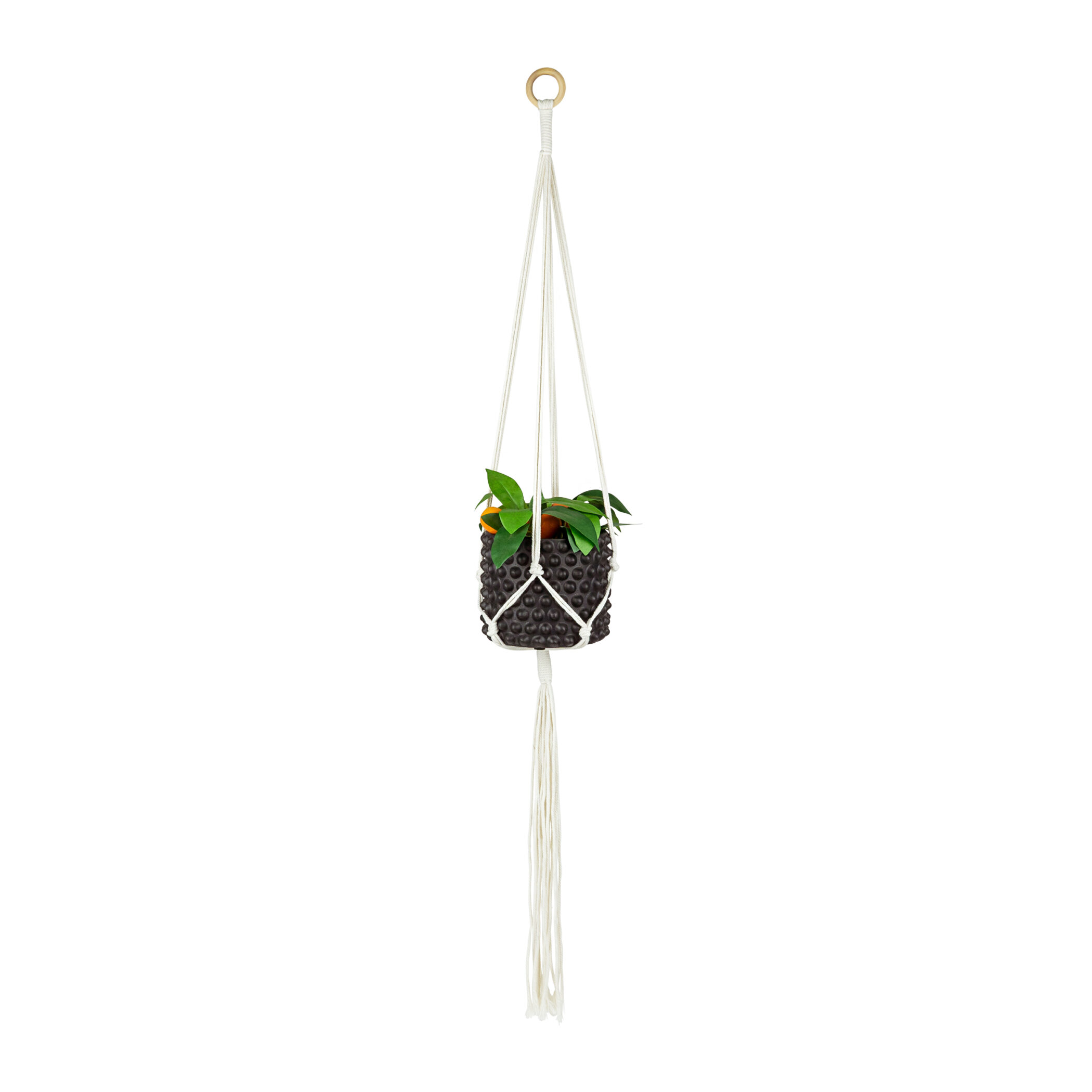 QUVIO Plantenhanger voor bloempot - Gevlochten touw