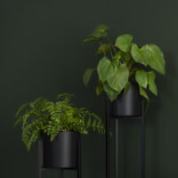 plantenzuilen