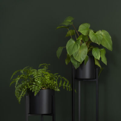 plantenzuilen