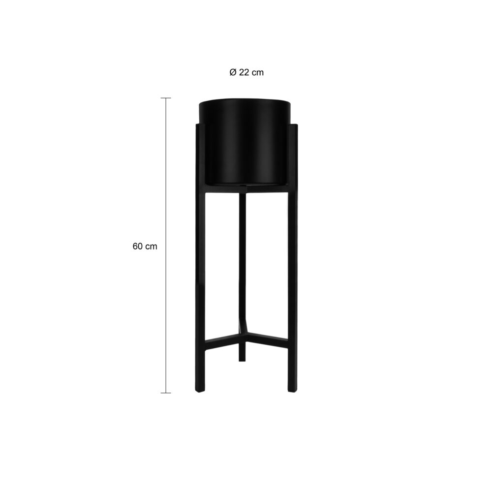 60 cm hoge planten standaard