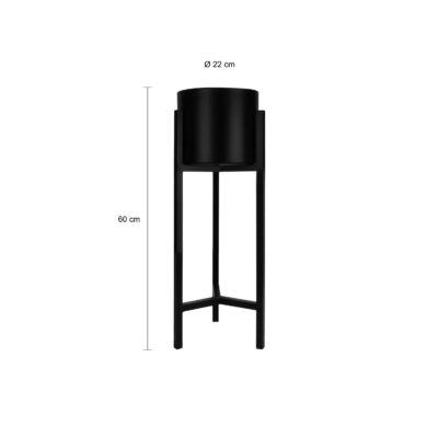 60 cm hoge planten standaard