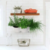 QUVIO Bloempot voor aan de wand – 15 x 43,5 cm – Antraciet