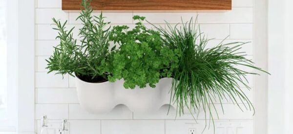 Bloempotten wand