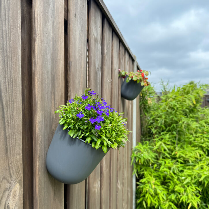 QUVIO Bloempot voor aan de wand – Diameter 15 cm – Antraciet