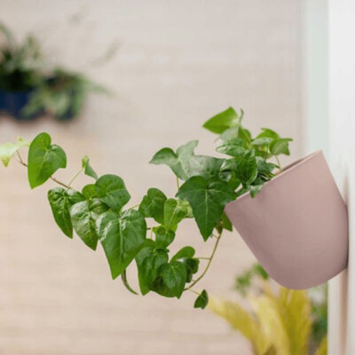 QUVIO Bloempot voor aan de wand – Diameter 15 cm – Poederroze