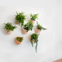 quvio wand bloempot oudroze