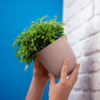 QUVIO Bloempot voor aan de wand – Diameter 15 cm – Poederroze