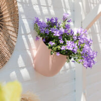 QUVIO Bloempot voor aan de wand – Diameter 15 cm – Poederroze