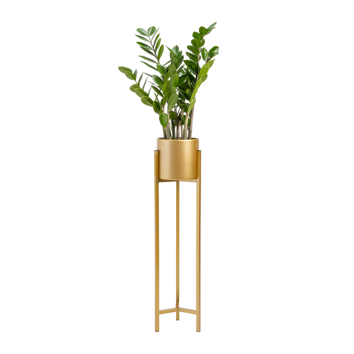 gouden plantenrek