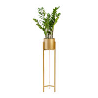 gouden plantenrek