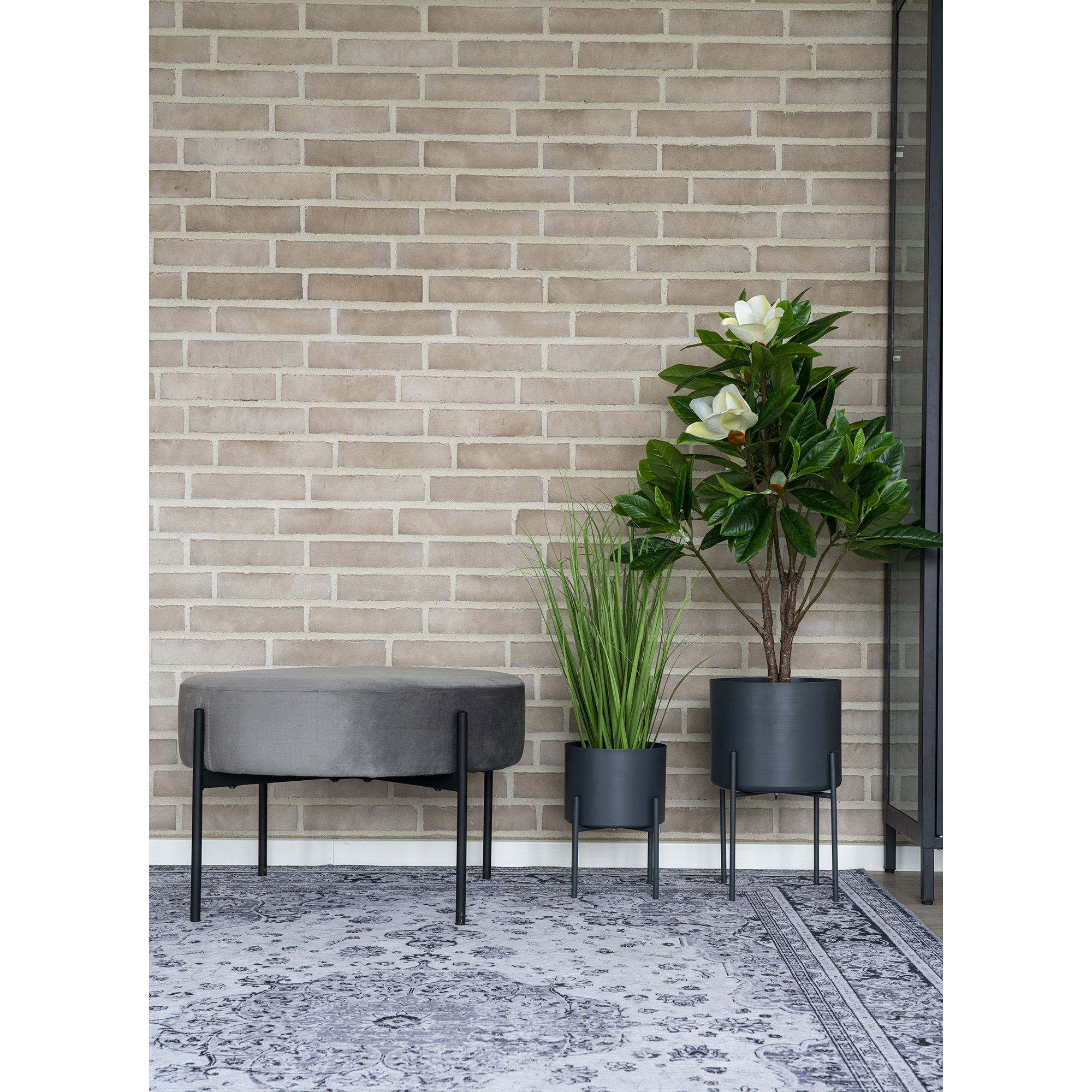 QUVIO Vloerkleed Havana – Zwart/Wit – 160×230 cm