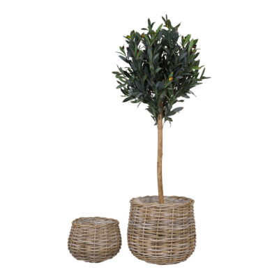 QUVIO Plantenmanden – Rattan – Naturel – Set van 2