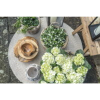 QUVIO Rieten manden Kubu – 30/40/50 cm – Set van 3