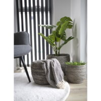 QUVIO Manden Zurich – Maïsbladeren – Grijs – Set van 3