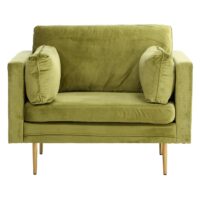Rochester Fauteuil Fluweel Lichtgroen afbeelding 1