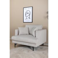 Yellowstone Fauteuil Jaren 50 Design afbeelding 17