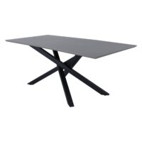 Hamilton eettafel zwart grijs fineer afbeelding 2