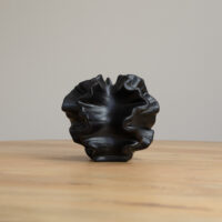 zwarte vaas, Vaas, keramische vaas, coral vorm, decoratiestuk, zwarte keramische vaas, vaas keramiek, coral vaas, vazen, vaasjes,