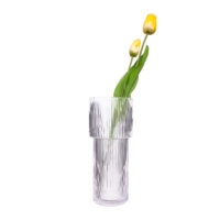 Vaas-Cilindervorm-Glas
