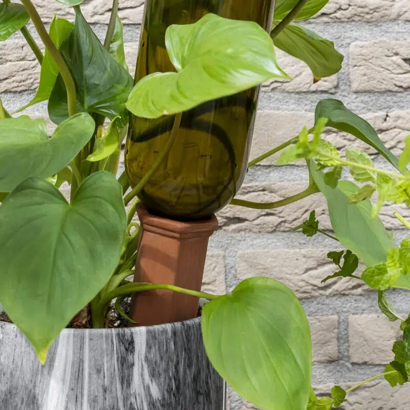 QUVIO Plantenspuit – Glas – 200 ml