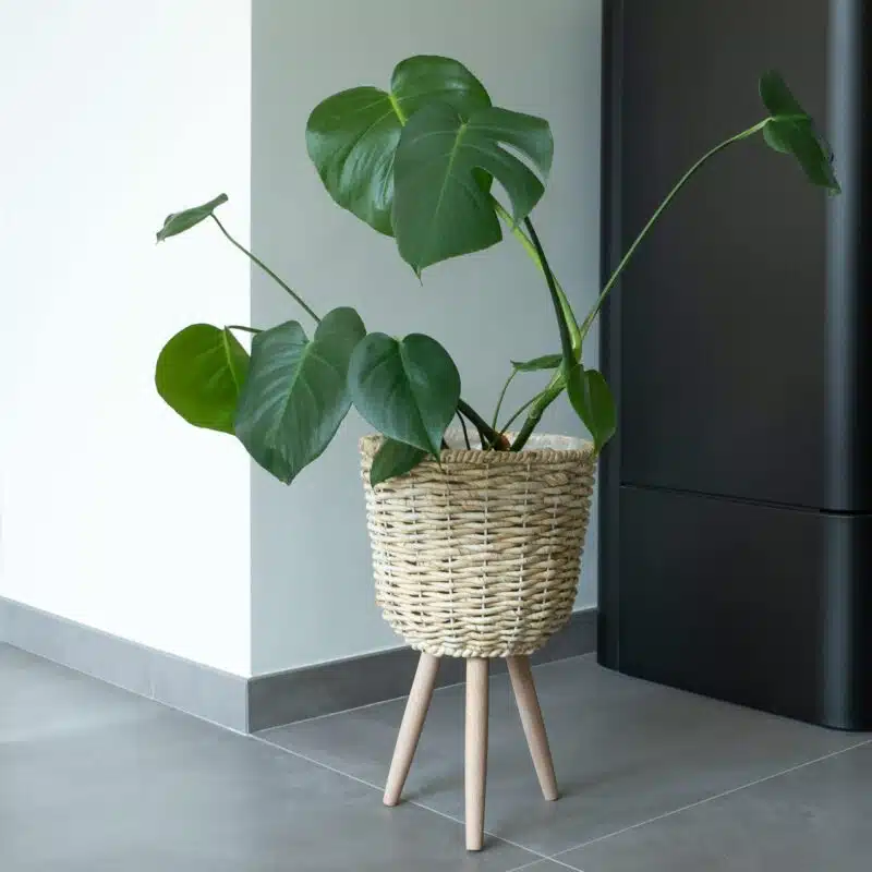 binnen bloempot Homliving.nl