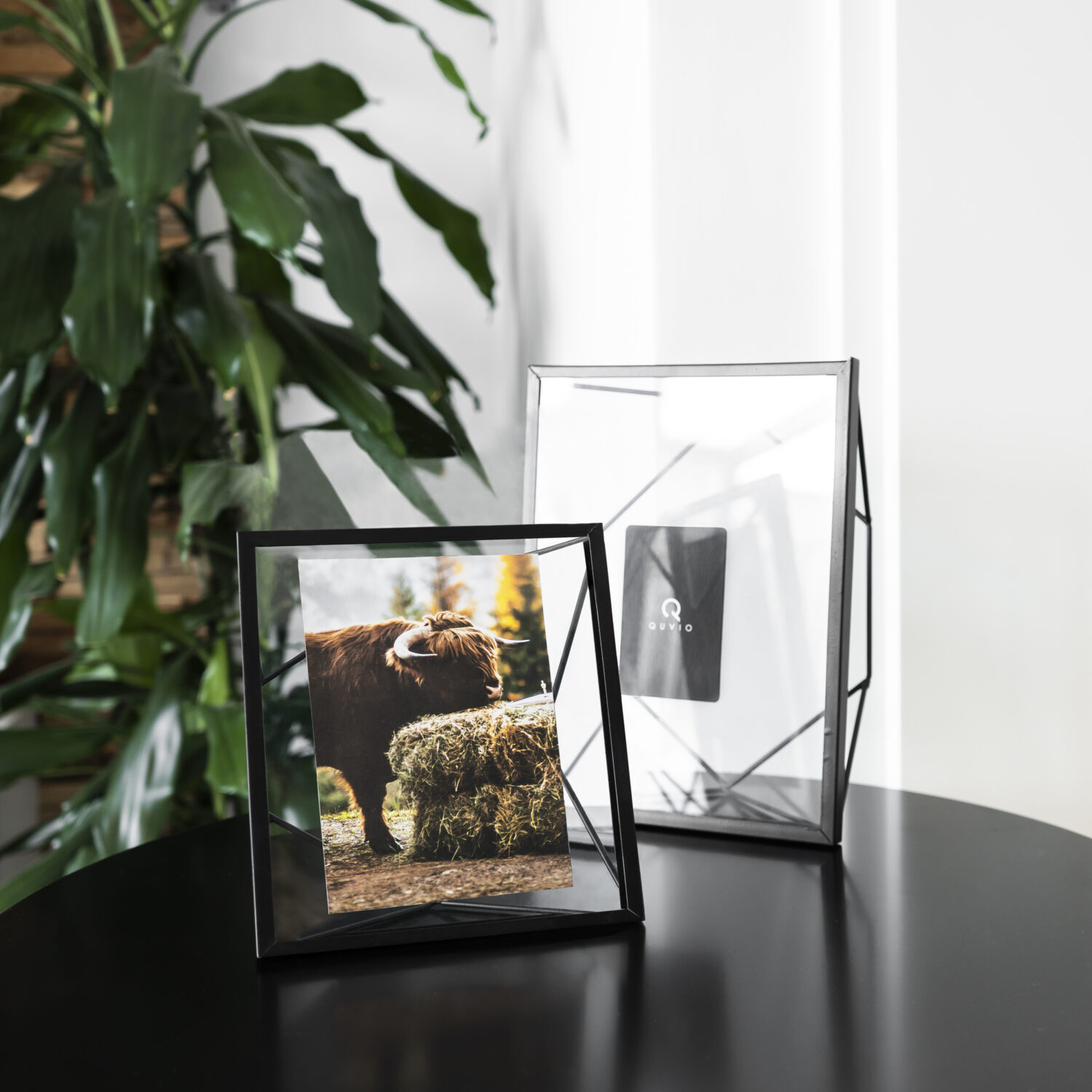 fotolijsten bij homeliving