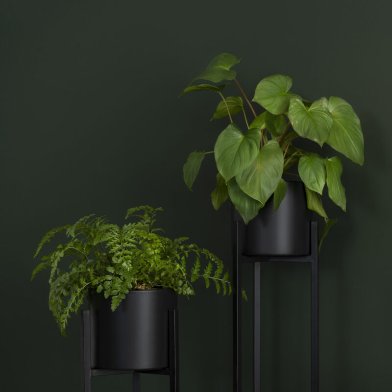 Plantenstandaard metaal zwart op homeliving