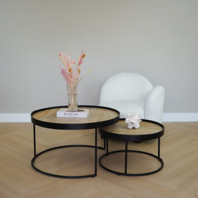 droogbloemen-vaas-transparant-24-cm