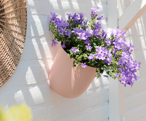 wand bloempotten HomeLiving.nl