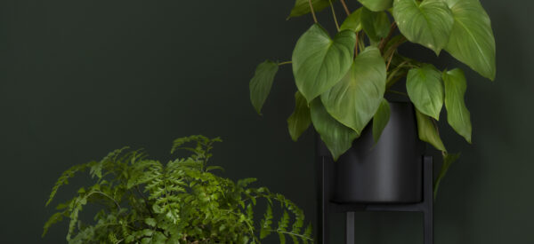 Zwart metaal plantenstandaard bij homeliving