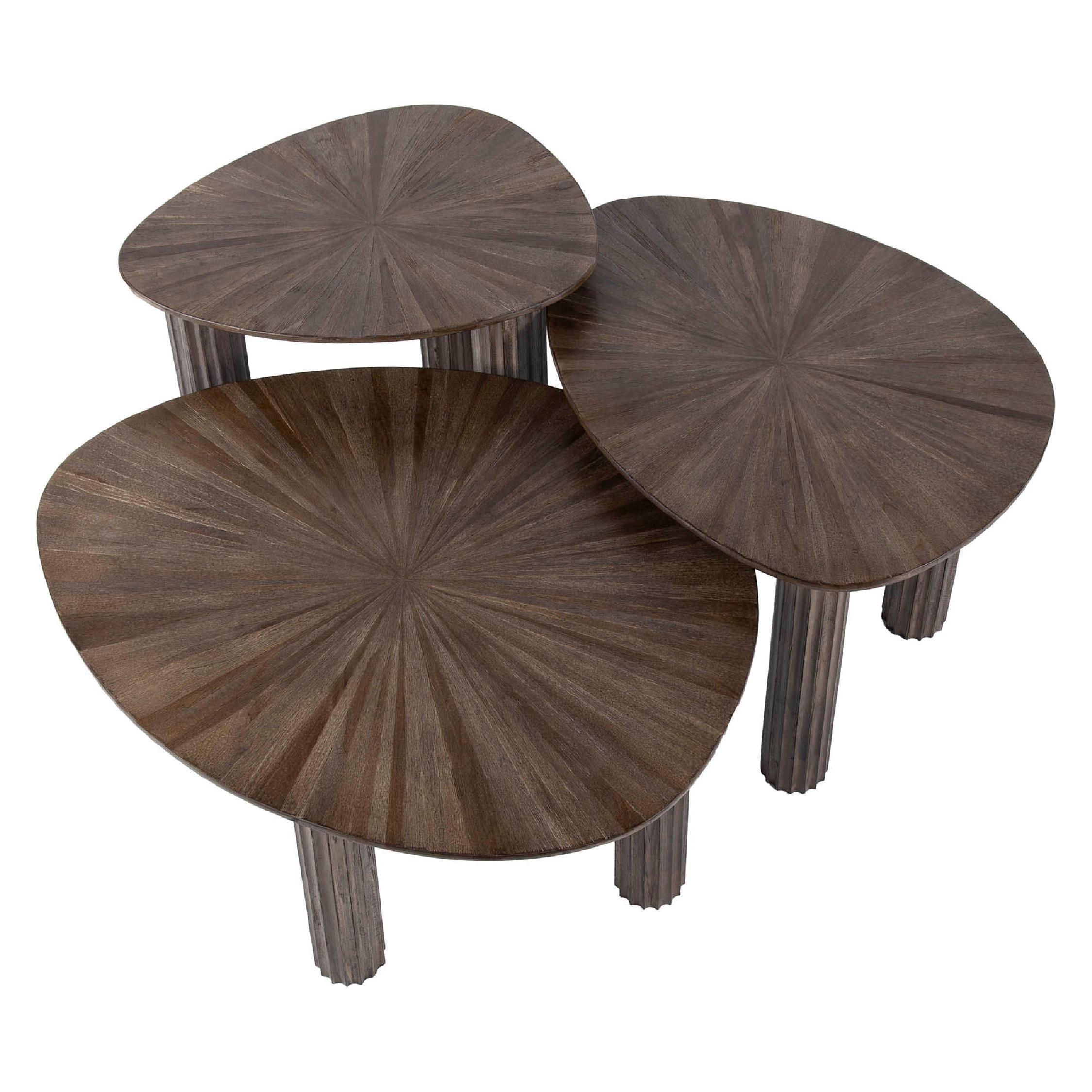 Sena salontafel set massief teak espresso afbeelding 2