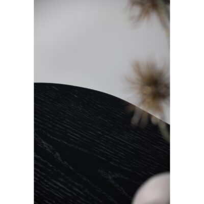 Scandinavisch zwart tv meubel Dana afbeelding 15