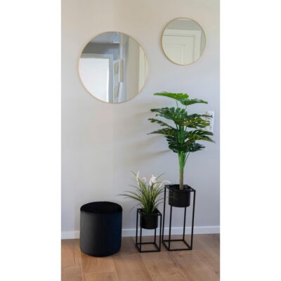 zwarte stalen plantenstandaarden set afbeelding 6