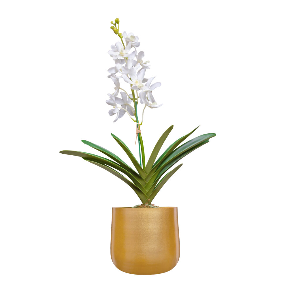 metalen planten pot, metalen bloempot, potten, bloempot goud, planten pot, gouden bloempot, ronde bloempot, plantenbak, plantenpot, bloemen pot,