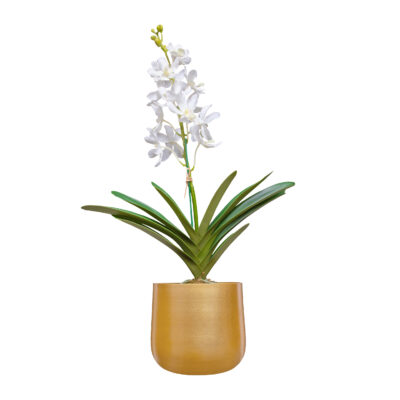 metalen planten pot, metalen bloempot, potten, bloempot goud, planten pot, gouden bloempot, ronde bloempot, plantenbak, plantenpot, bloemen pot,