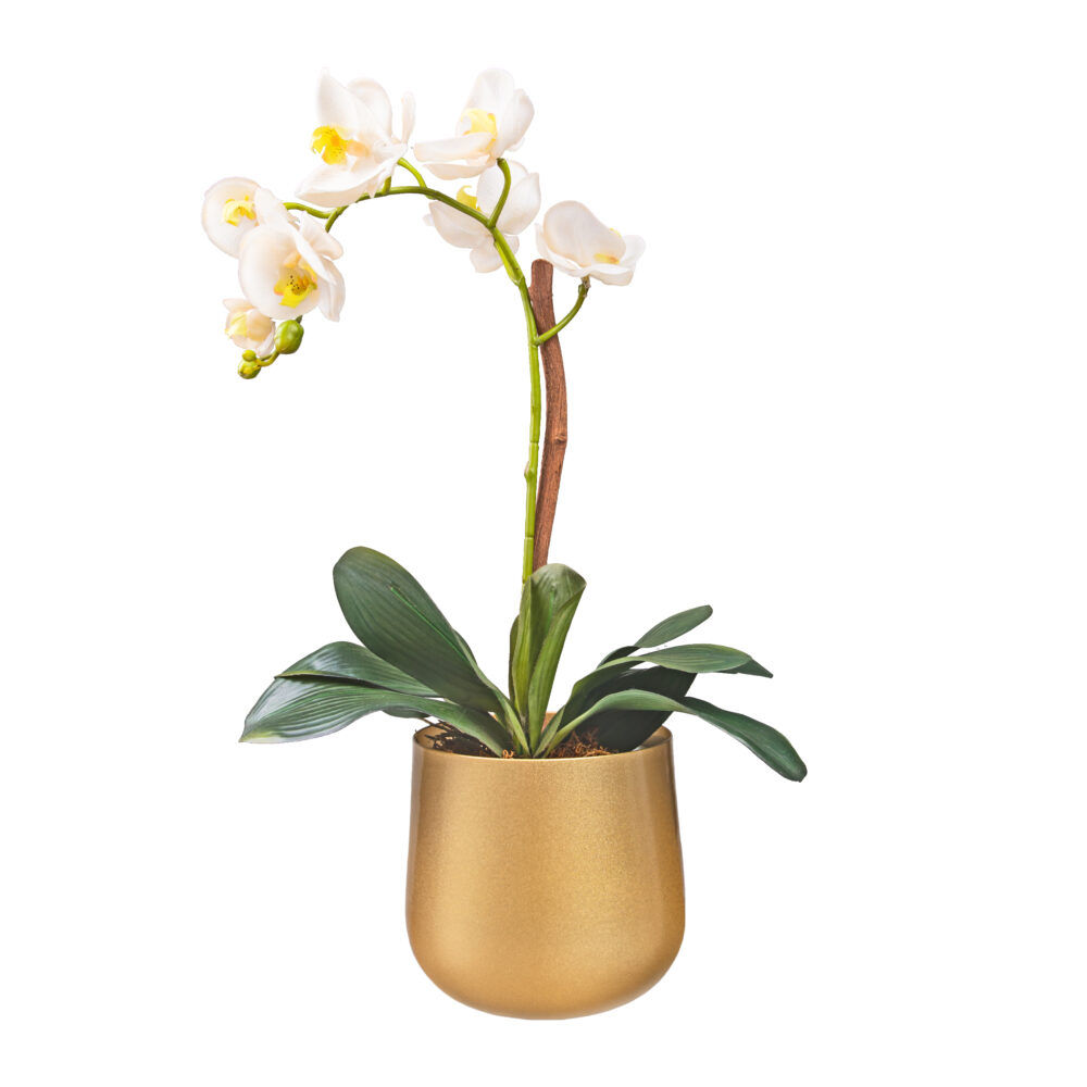 metalen planten pot, metalen bloempot, potten, bloempot goud, planten pot, gouden bloempot, ronde bloempot, plantenbak, plantenpot, bloemen pot,