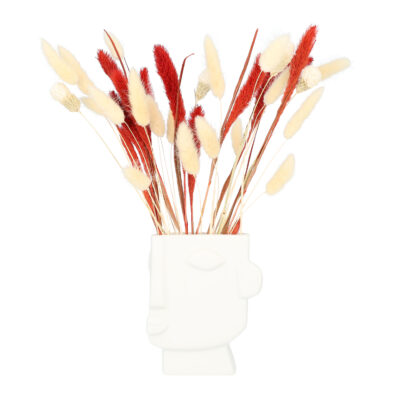 QUVIO Vaas - Gezicht - Wit_afb1