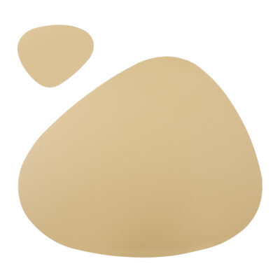 placemat goud, placemats, placemat goud met onderzetter, placemat set, placemat, onderzetter, placemat leer