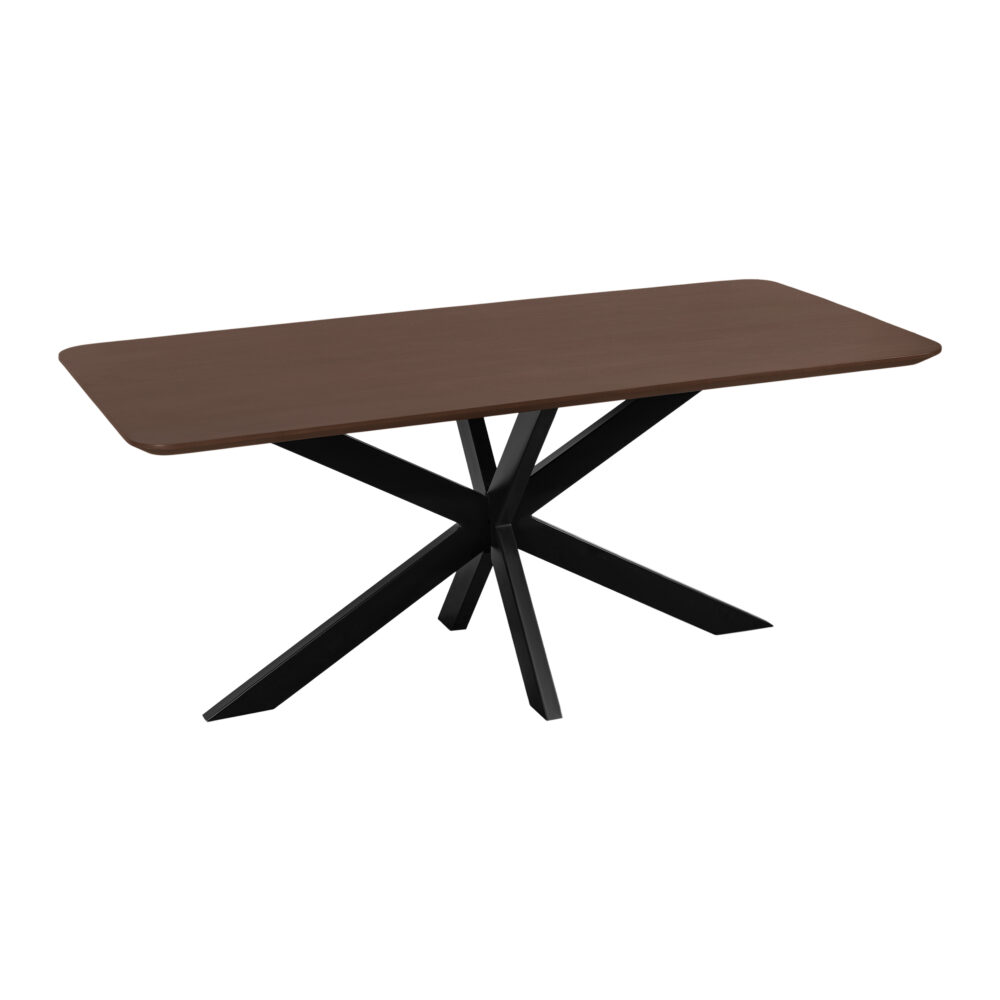 rechthoekige eettafel, eettafel Sofia, bruine eettafel, eettafel 220x110, tafel, mangohouten eettafel,