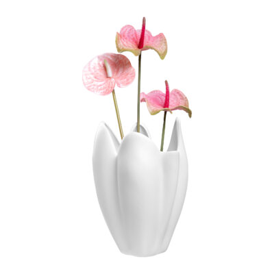 witte vaas, organische vorm, keramische vaas, vaas, siervaas, hoge vaas, bloemenvaas, Organische vaas,