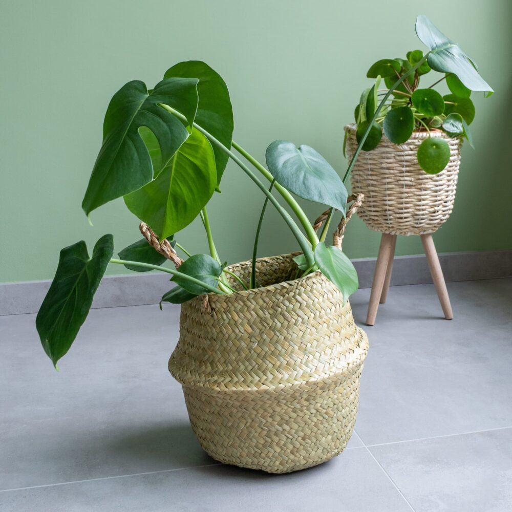 Plantenmand vlas handvaten