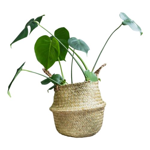 Plantenmand vlas handvaten