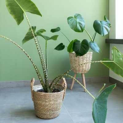 Geweven plantenmanden